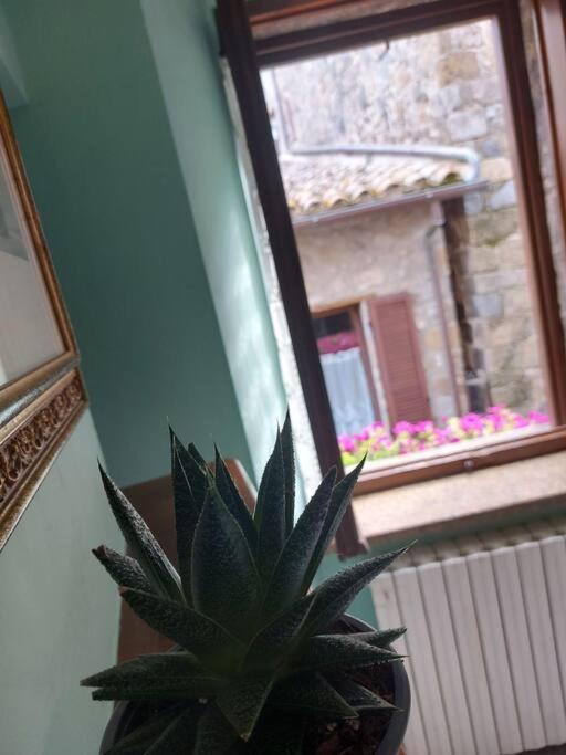 Casa Rosita Vista Lago Bolsena Extérieur photo