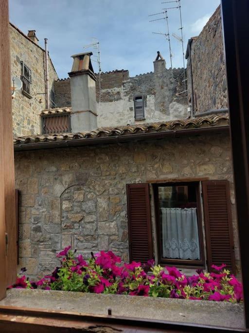 Casa Rosita Vista Lago Bolsena Extérieur photo